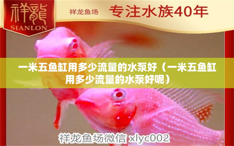 一米五魚缸用多少流量的水泵好（一米五魚缸用多少流量的水泵好呢）