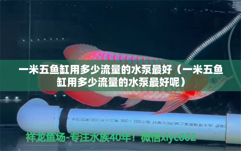 一米五魚缸用多少流量的水泵最好（一米五魚缸用多少流量的水泵最好呢） 魚缸百科