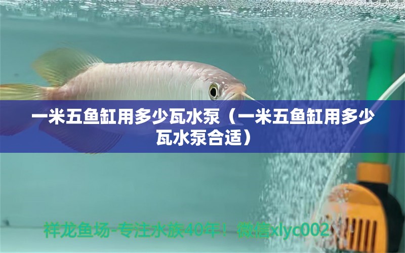 一米五魚缸用多少瓦水泵（一米五魚缸用多少瓦水泵合適）