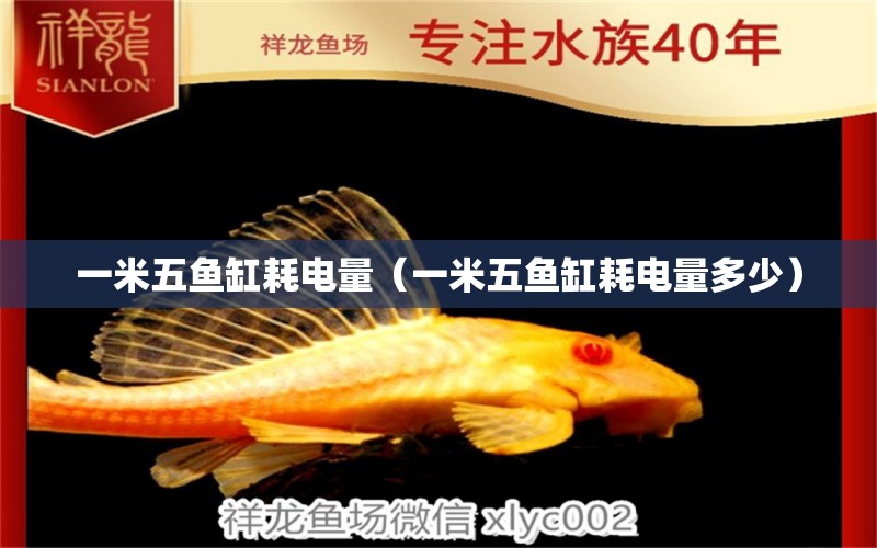 一米五魚缸耗電量（一米五魚缸耗電量多少）