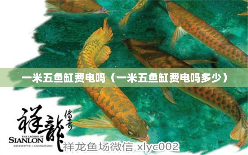 一米五魚缸費電嗎（一米五魚缸費電嗎多少）