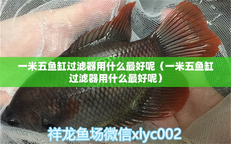 一米五魚缸過濾器用什么最好呢（一米五魚缸過濾器用什么最好呢）