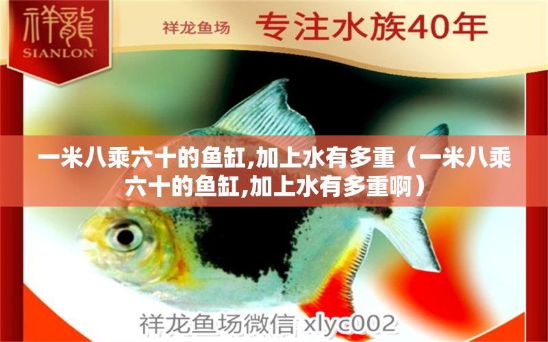 一米八乘六十的魚(yú)缸,加上水有多重（一米八乘六十的魚(yú)缸,加上水有多重?。?魚(yú)缸百科