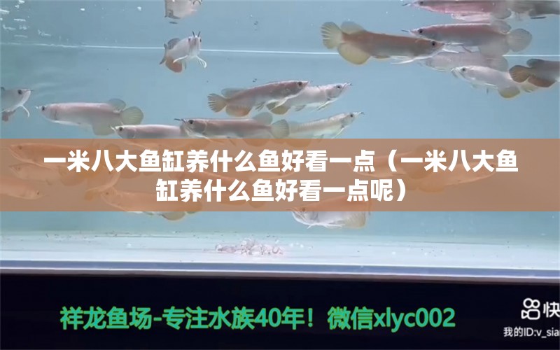 一米八大魚缸養(yǎng)什么魚好看一點（一米八大魚缸養(yǎng)什么魚好看一點呢） 魚缸百科