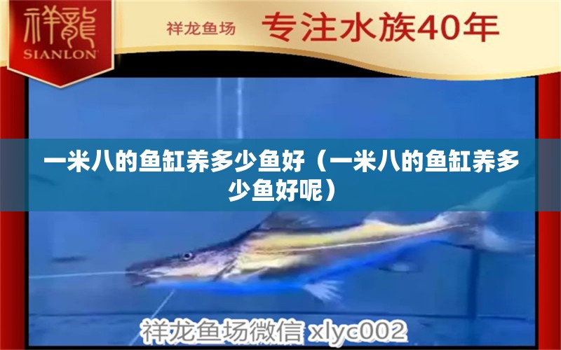 一米八的魚(yú)缸養(yǎng)多少魚(yú)好（一米八的魚(yú)缸養(yǎng)多少魚(yú)好呢）