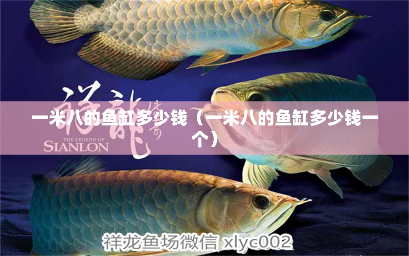 一米八的魚缸多少錢（一米八的魚缸多少錢一個）