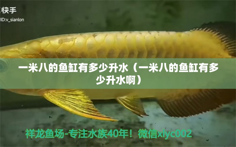 一米八的魚(yú)缸有多少升水（一米八的魚(yú)缸有多少升水?。? title=