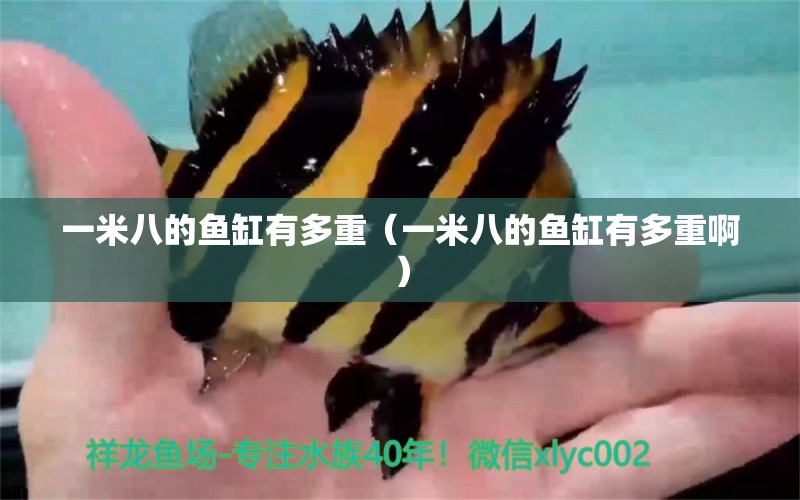 一米八的魚缸有多重（一米八的魚缸有多重?。? title=