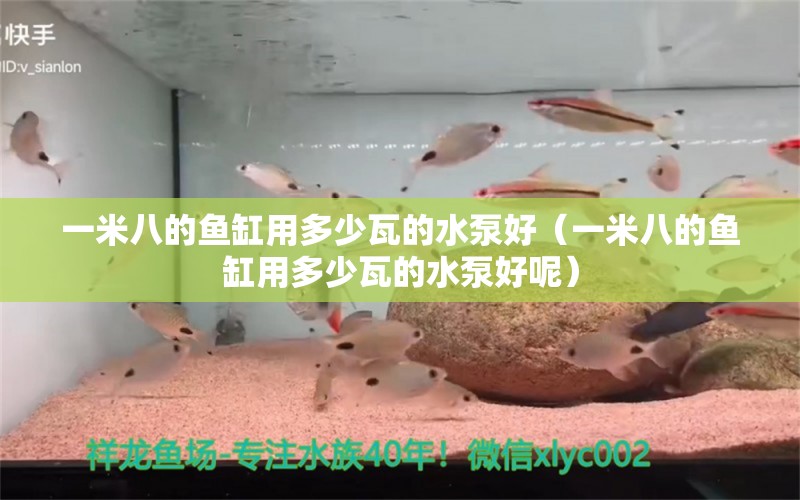 一米八的魚(yú)缸用多少瓦的水泵好（一米八的魚(yú)缸用多少瓦的水泵好呢）