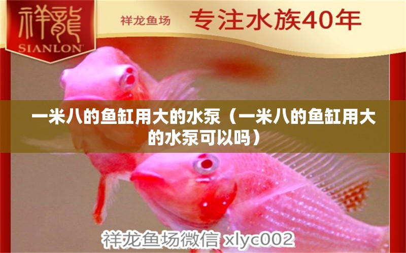 一米八的魚(yú)缸用大的水泵（一米八的魚(yú)缸用大的水泵可以嗎）