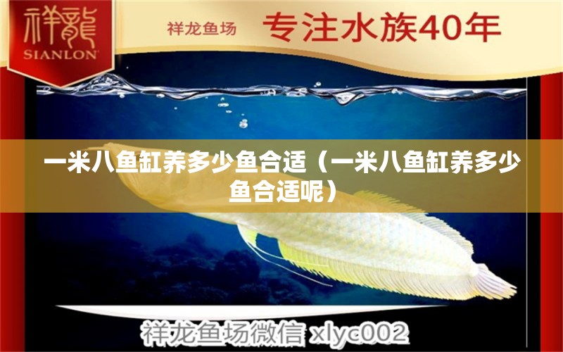 一米八魚缸養(yǎng)多少魚合適（一米八魚缸養(yǎng)多少魚合適呢）