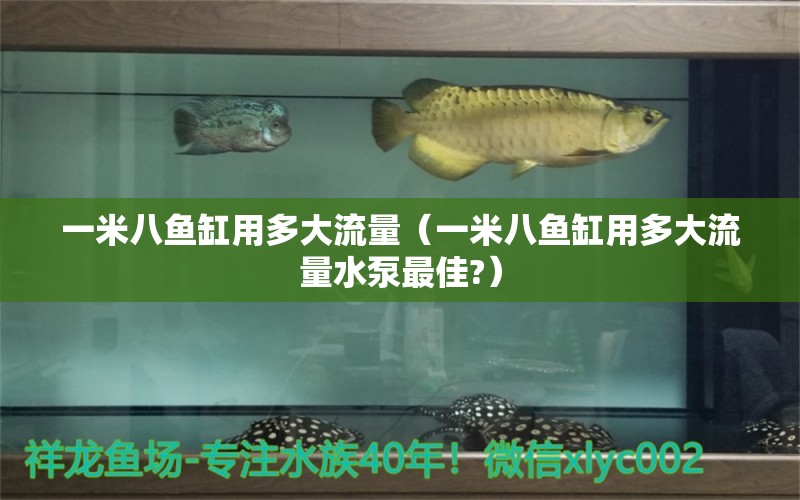 一米八魚缸用多大流量（一米八魚缸用多大流量水泵最佳?）