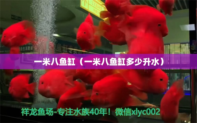 一米八魚缸（一米八魚缸多少升水）