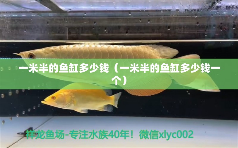 一米半的魚缸多少錢（一米半的魚缸多少錢一個）