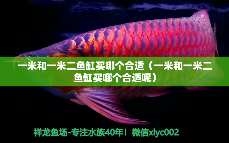 一米和一米二魚(yú)缸買哪個(gè)合適（一米和一米二魚(yú)缸買哪個(gè)合適呢） 魚(yú)缸百科