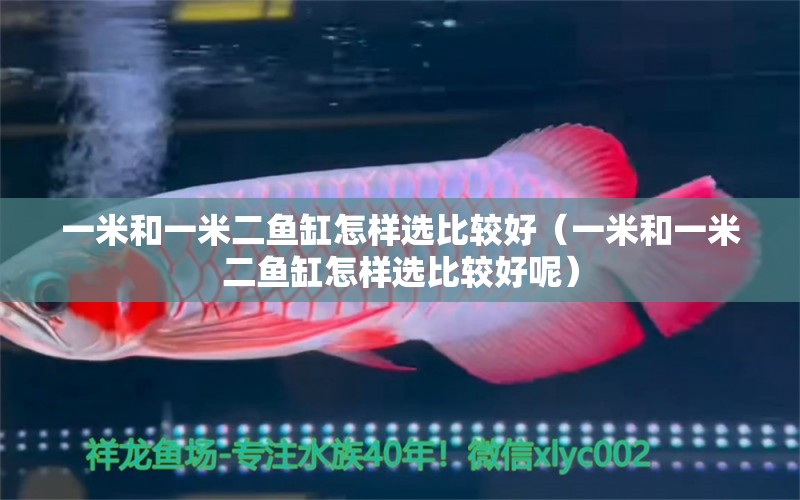 一米和一米二魚缸怎樣選比較好（一米和一米二魚缸怎樣選比較好呢） 魚缸百科