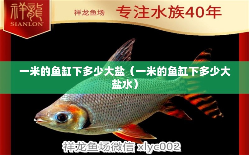 一米的魚缸下多少大鹽（一米的魚缸下多少大鹽水）