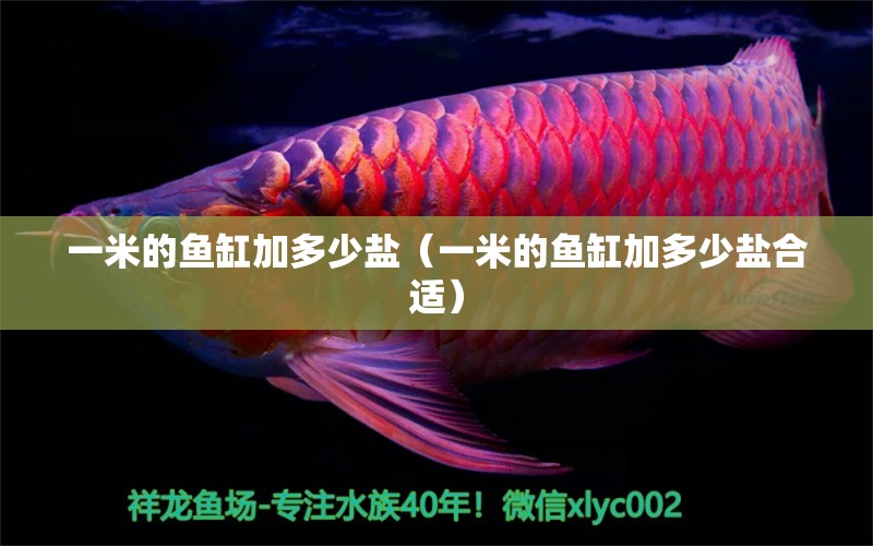 一米的魚缸加多少鹽（一米的魚缸加多少鹽合適） 其他品牌魚缸