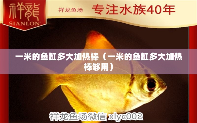 一米的魚缸多大加熱棒（一米的魚缸多大加熱棒夠用） 魚缸百科