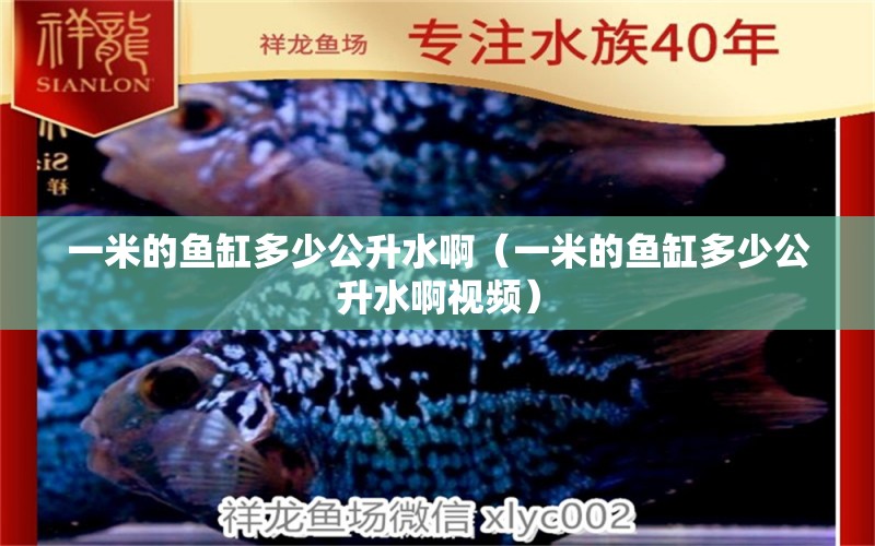 一米的魚(yú)缸多少公升水?。ㄒ幻椎聂~(yú)缸多少公升水啊視頻）