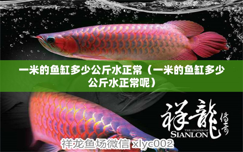 一米的魚缸多少公斤水正常（一米的魚缸多少公斤水正常呢）