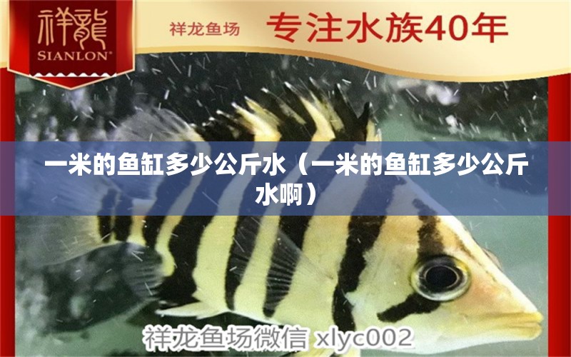 一米的魚缸多少公斤水（一米的魚缸多少公斤水?。? title=