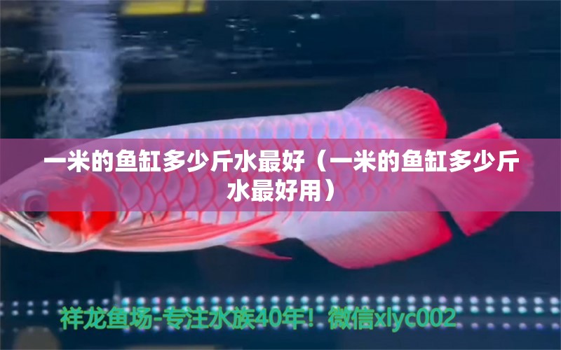 一米的魚缸多少斤水最好（一米的魚缸多少斤水最好用）