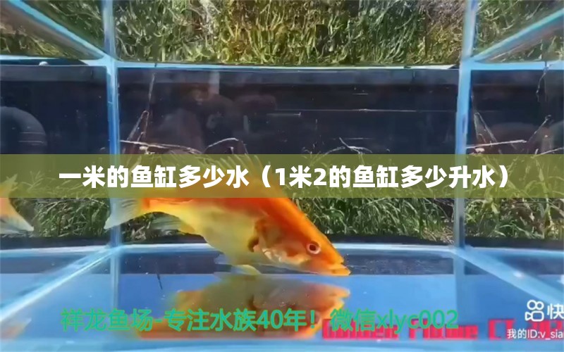 一米的魚缸多少水（1米2的魚缸多少升水）