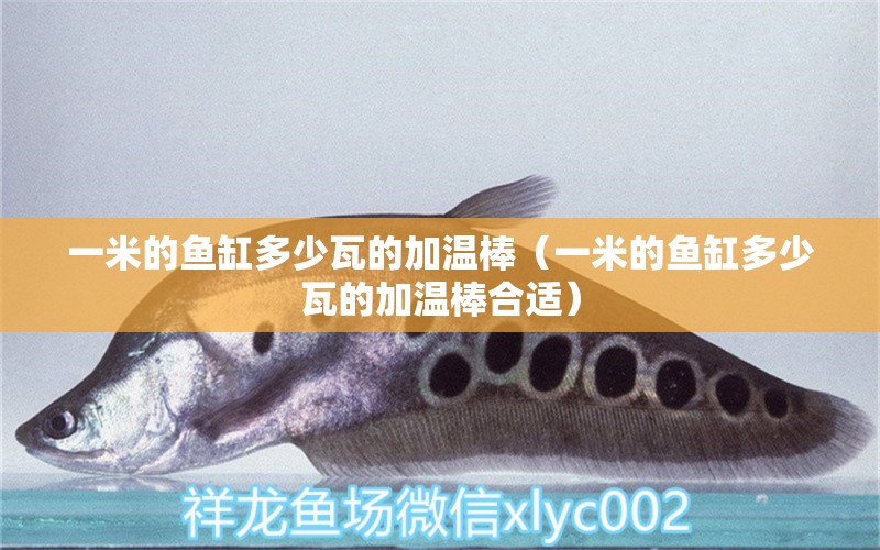 一米的魚缸多少瓦的加溫棒（一米的魚缸多少瓦的加溫棒合適） 魚缸百科