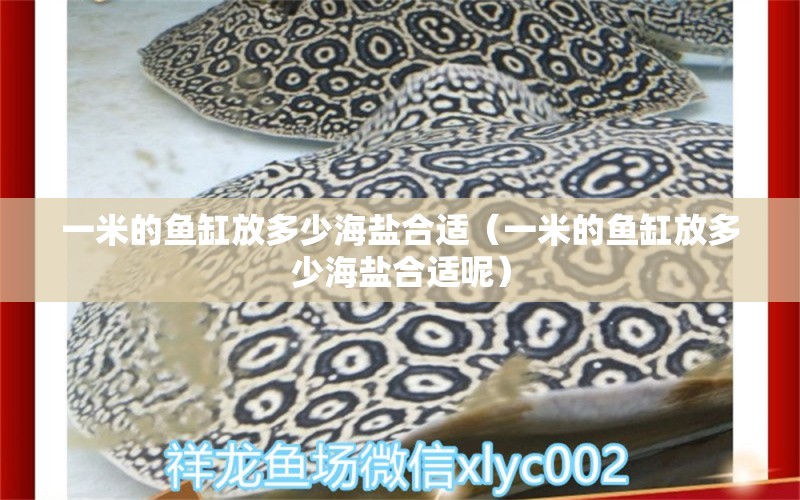 一米的魚(yú)缸放多少海鹽合適（一米的魚(yú)缸放多少海鹽合適呢） 其他品牌魚(yú)缸