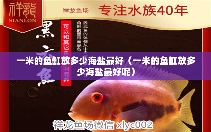 一米的魚缸放多少海鹽最好（一米的魚缸放多少海鹽最好呢） 其他品牌魚缸