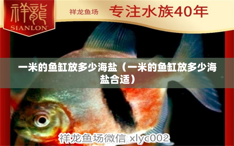 一米的魚缸放多少海鹽（一米的魚缸放多少海鹽合適）