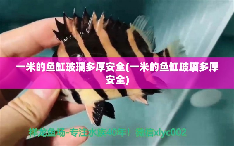 一米的魚缸玻璃多厚安全(一米的魚缸玻璃多厚安全)