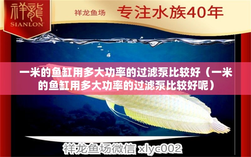 一米的魚(yú)缸用多大功率的過(guò)濾泵比較好（一米的魚(yú)缸用多大功率的過(guò)濾泵比較好呢）