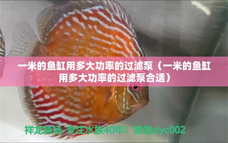 一米的魚(yú)缸用多大功率的過(guò)濾泵（一米的魚(yú)缸用多大功率的過(guò)濾泵合適）