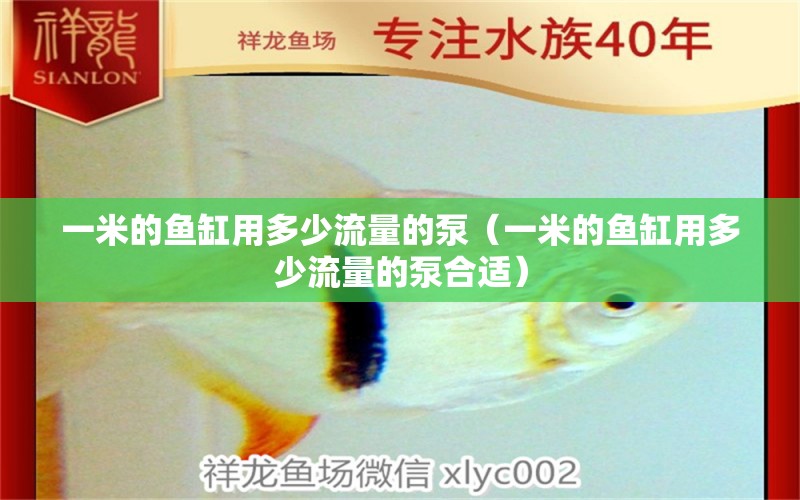 一米的魚缸用多少流量的泵（一米的魚缸用多少流量的泵合適）