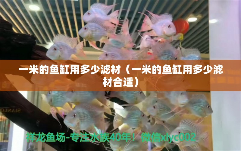 一米的魚缸用多少濾材（一米的魚缸用多少濾材合適）