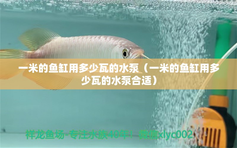 一米的魚缸用多少瓦的水泵（一米的魚缸用多少瓦的水泵合適）