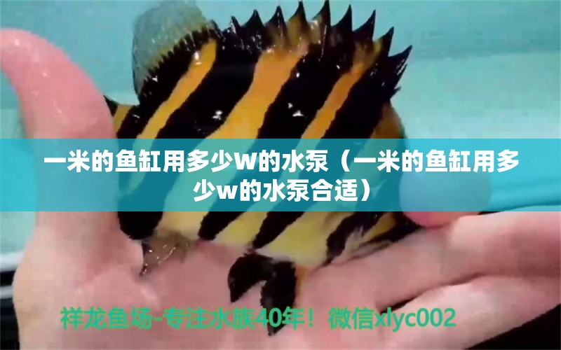 一米的魚缸用多少W的水泵（一米的魚缸用多少w的水泵合適） 其他品牌魚缸