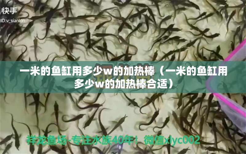 一米的魚缸用多少w的加熱棒（一米的魚缸用多少w的加熱棒合適） 魚缸百科