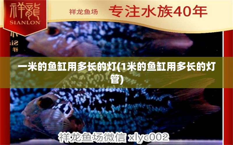 一米的魚缸用多長的燈(1米的魚缸用多長的燈管) 斑馬鴨嘴魚