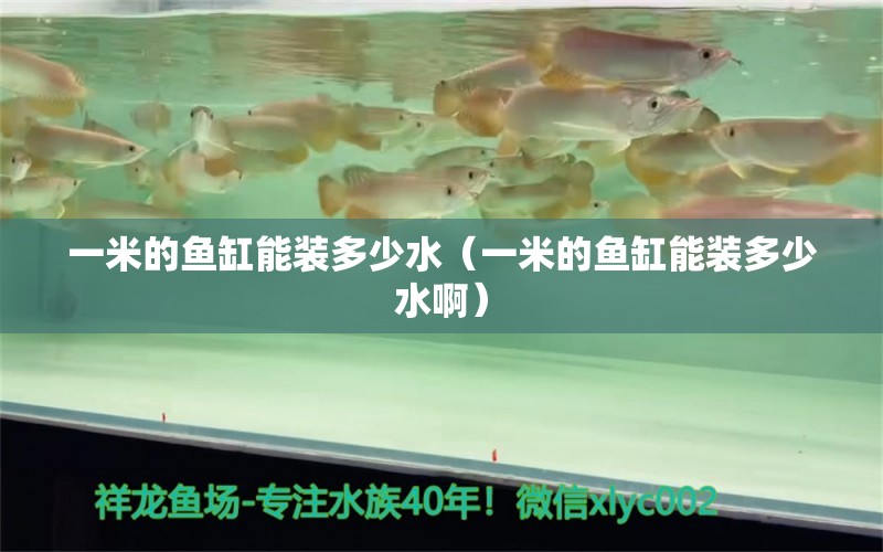 一米的魚缸能裝多少水（一米的魚缸能裝多少水?。?魚缸百科