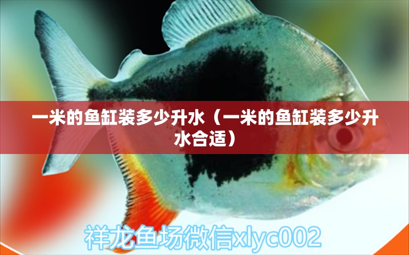 一米的魚缸裝多少升水（一米的魚缸裝多少升水合適） 魚缸百科