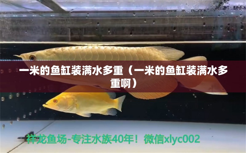 一米的魚缸裝滿水多重（一米的魚缸裝滿水多重?。? title=