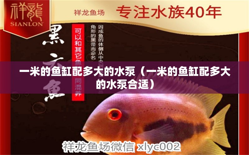 一米的魚缸配多大的水泵（一米的魚缸配多大的水泵合適） 其他品牌魚缸