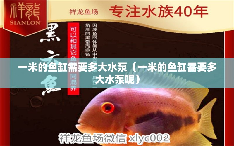 一米的魚缸需要多大水泵（一米的魚缸需要多大水泵呢）