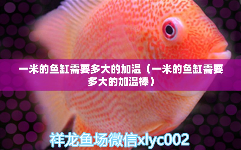 一米的魚缸需要多大的加溫（一米的魚缸需要多大的加溫棒）