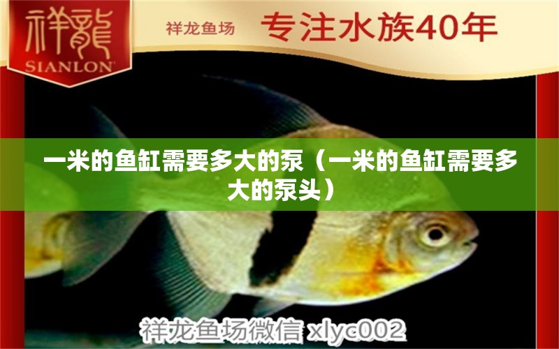 一米的魚(yú)缸需要多大的泵（一米的魚(yú)缸需要多大的泵頭）