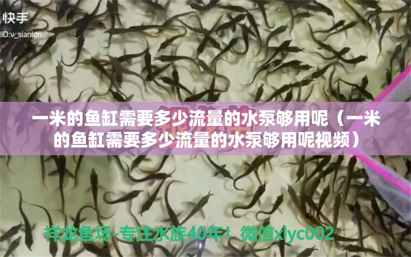 一米的魚缸需要多少流量的水泵夠用呢（一米的魚缸需要多少流量的水泵夠用呢視頻）