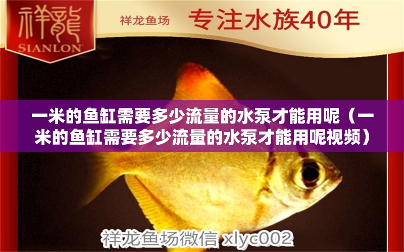 一米的魚缸需要多少流量的水泵才能用呢（一米的魚缸需要多少流量的水泵才能用呢視頻）